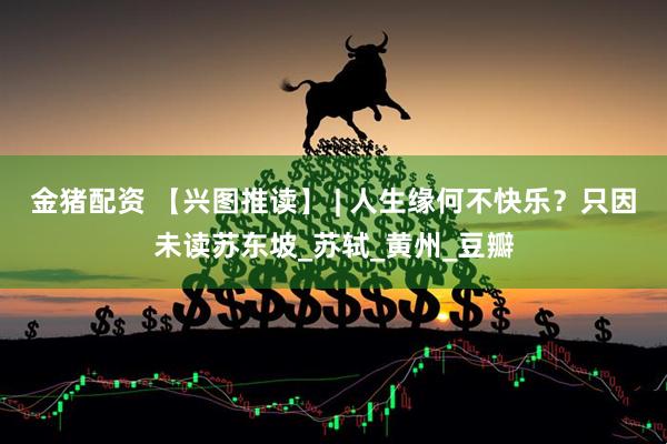 金猪配资 【兴图推读】 | 人生缘何不快乐？只因未读苏东坡_苏轼_黄州_豆瓣
